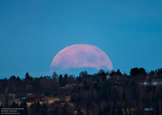 Eventos astronómicos de junio 2025: el mes de Venus, fresas, solsticios y cielos estrellados