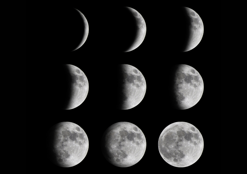 fases de la luna. fases de la luna.