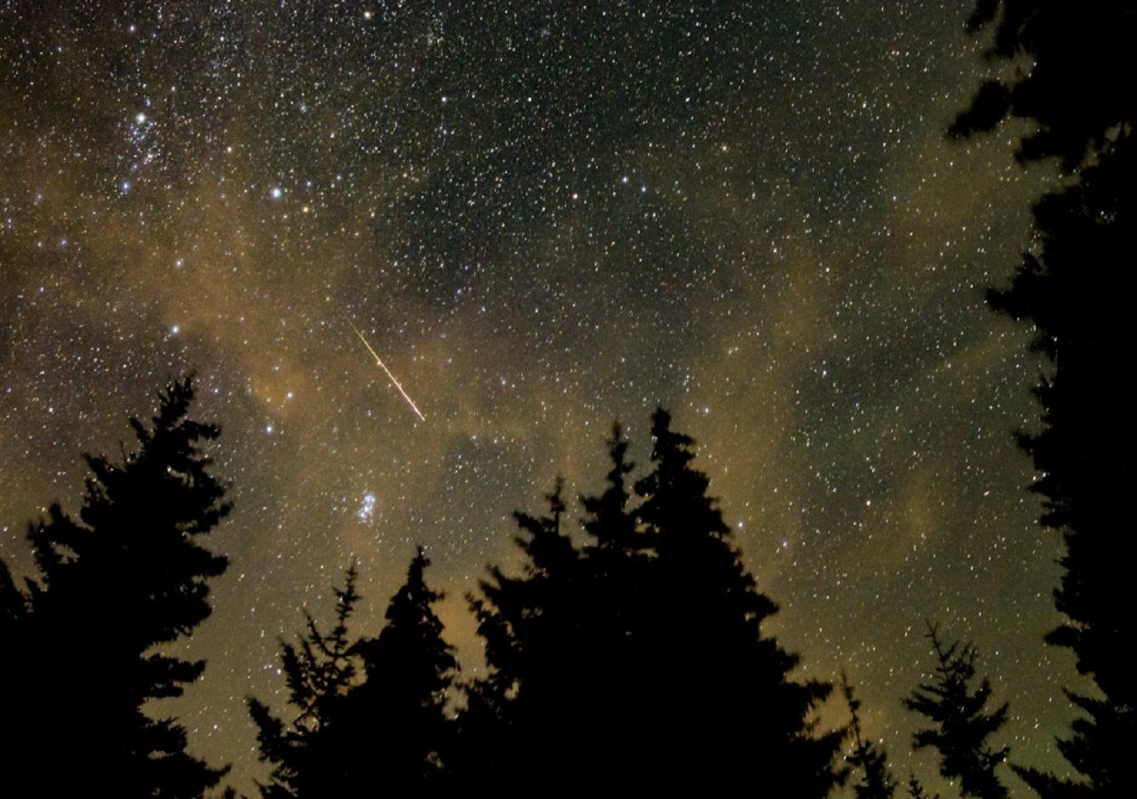 Las Perseidas no son más que los rastros de polvo cósmico del cometa Swift-Tuttle. Foto tomada el 11 de agosto en Spruce Knob, Virginia Occidental. Crédito: Bill Ingalls / Nasa.