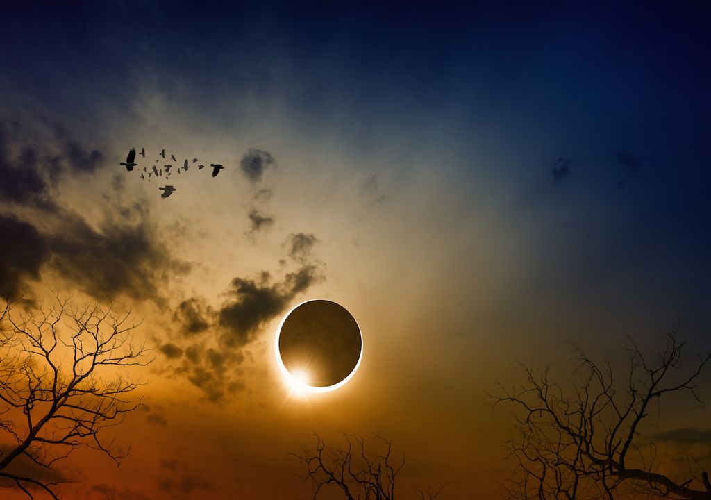 eclipse total solar