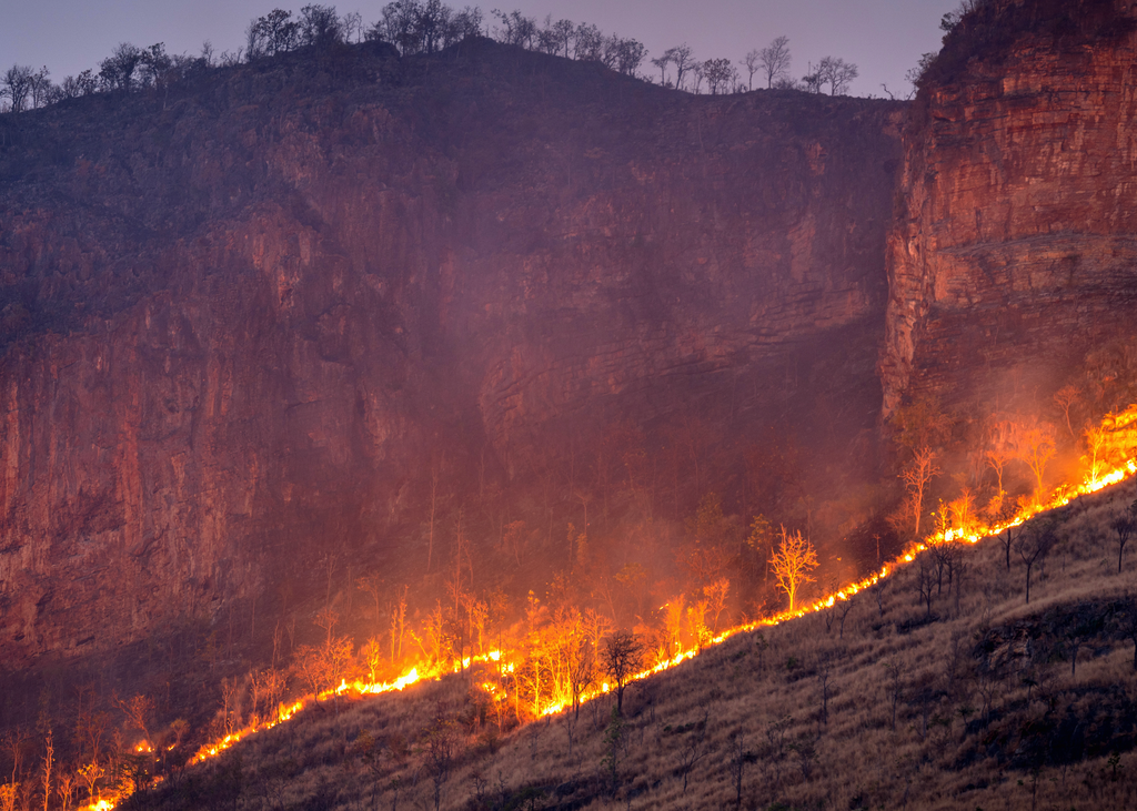 Los incendios forestales extremos suelen ser la respuesta a muchos extremos meteorológicos ocurriendo simultáneamente.