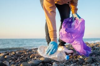 Every Plastic Bottle Counts: Measure How Your Beach Cleanup Helps Wildlife