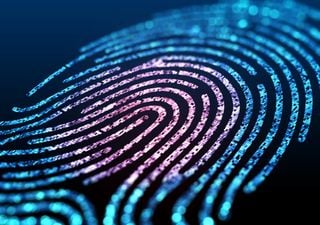 Everyone’s brain has a unique ‘pain fingerprint’, study finds