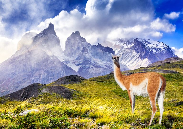 Evolución climática en Chile: 2020 se suma a los años récords Evolución climática en Chile: 2020 se suma a los años récords