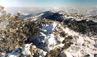 EXCURSIÓN AL PARQUE NATURAL DEL CARRASCAR DE LA FONT ROJA DE ALCOI (ALICANTE)