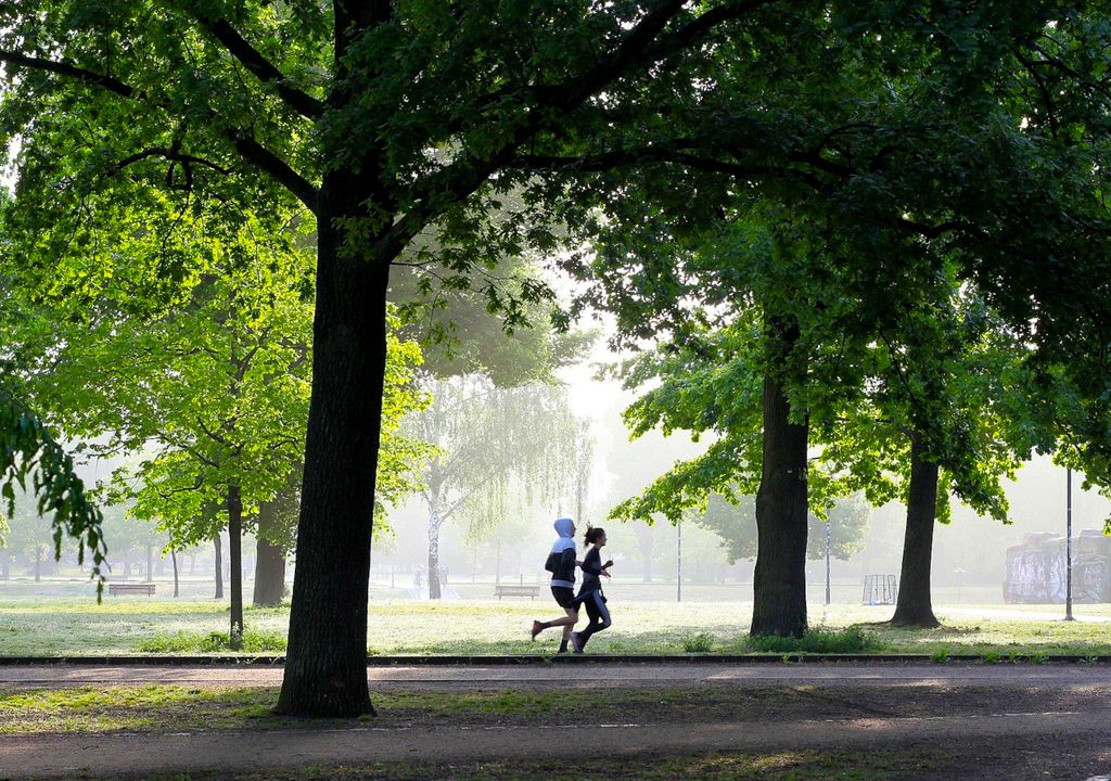 Une étude indique que l'exercice physique intense, lorsqu'il est effectué dans des endroits où l'air est très pollué, fait plus de mal que de bien à la santé.