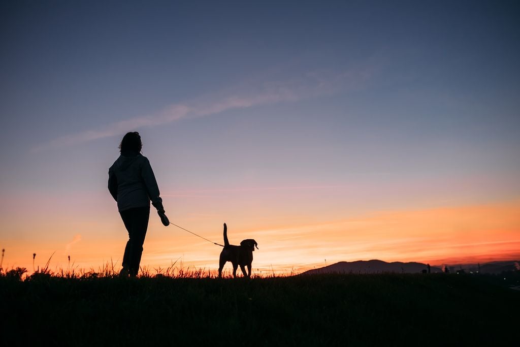 silueta de una persona paseando con su perro