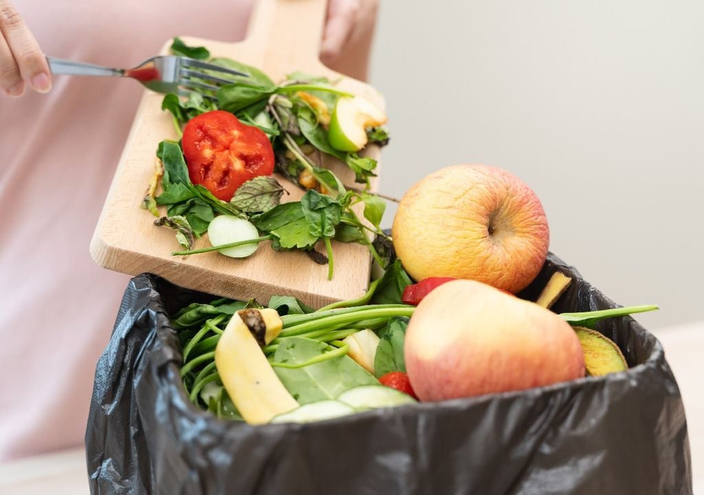 Reciente con basura, frutas y verduras