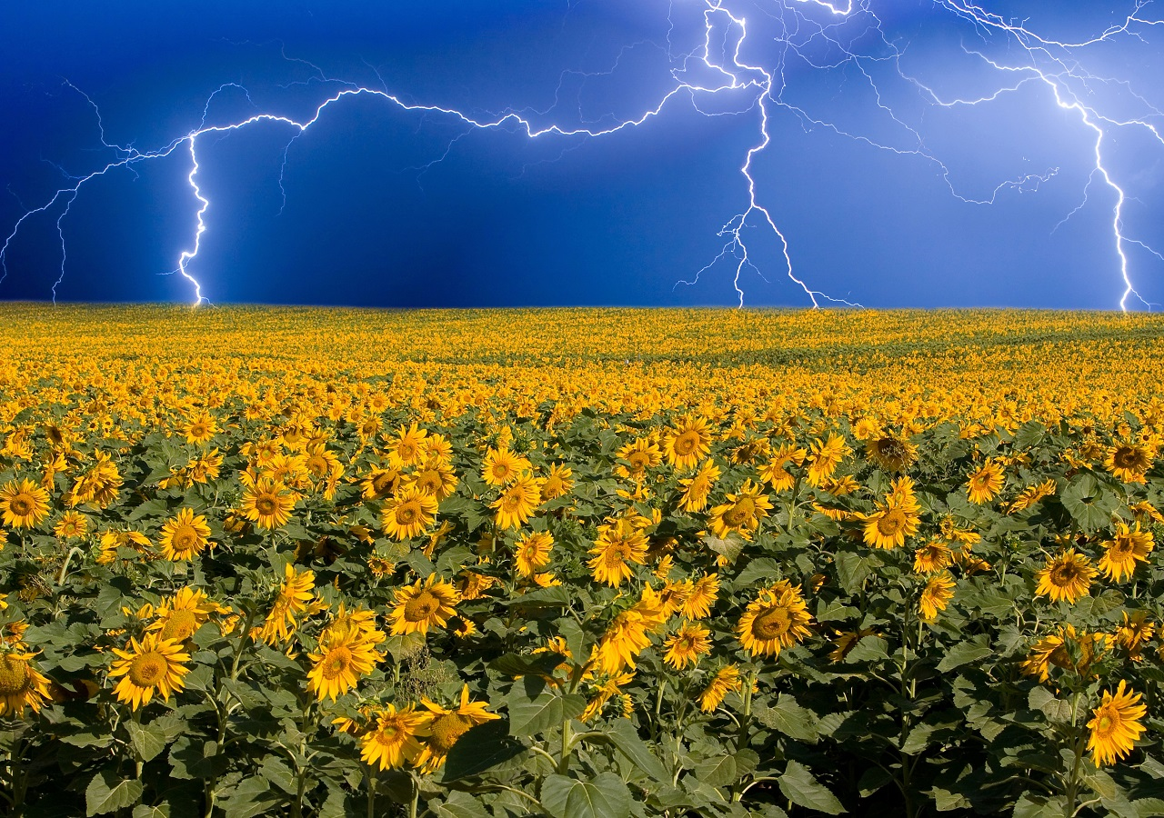 El calor tendría menor intensidad, mientras las lluvias pueden presentarse en varios periodos dentro del trimestre marzo-mayo, resultando muy benéfico.