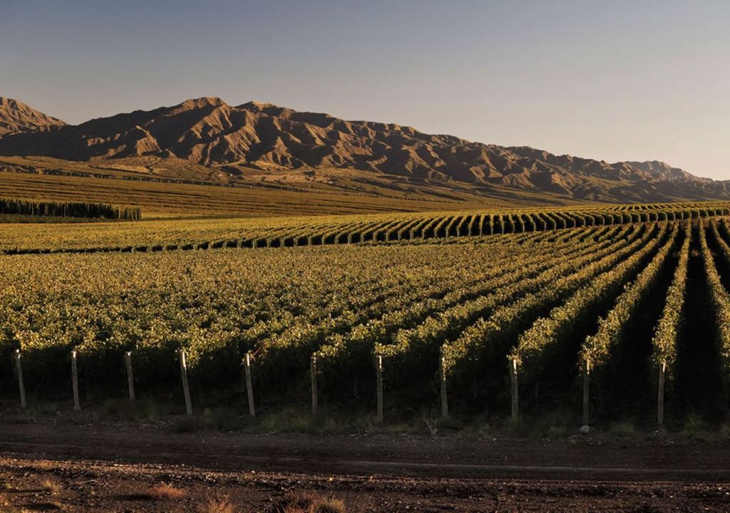 Qué hacer en San Juan durante un fin de semana
