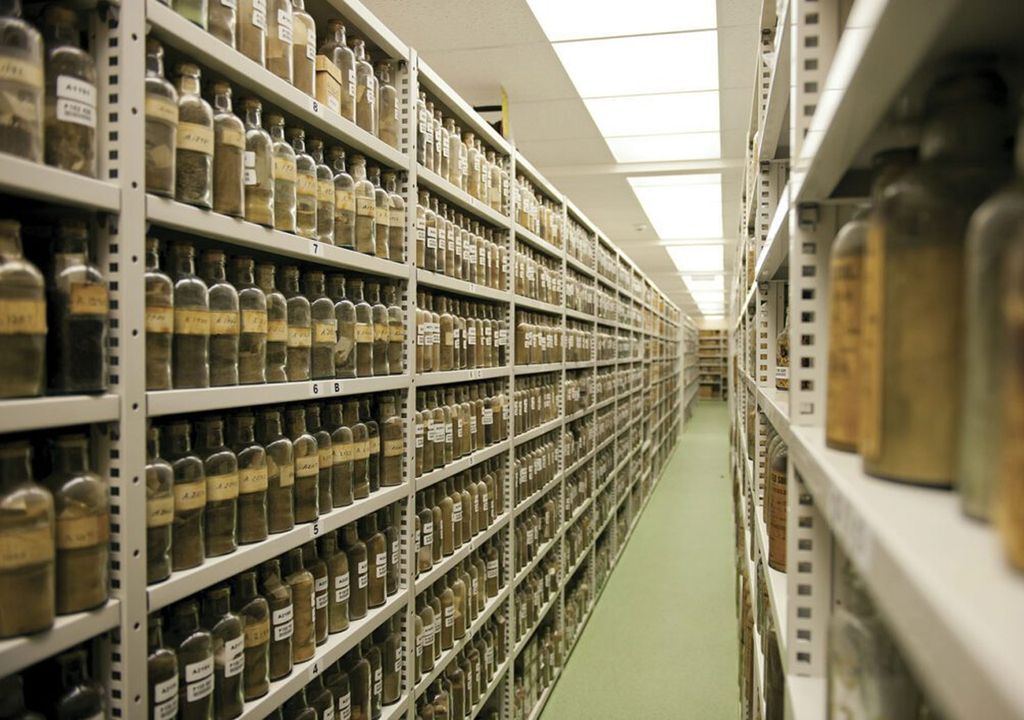 Archivo muestras Archivo muestras