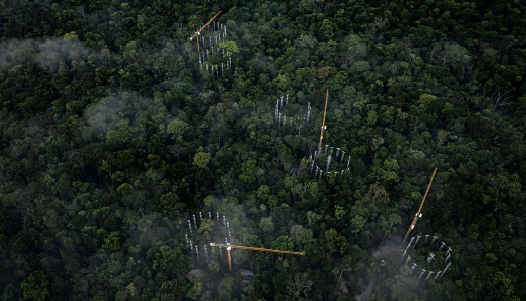 Anéis em torno das seis parcelas da floresta amazônica em que serão feitas as pesquisas do AmazonFace sobre os efeitos de uma atmosfera enriquecida com CO2 Dado Galdieri / AmazonFace Anéis em torno das seis parcelas da floresta amazônica em que serão feitas as pesquisas do AmazonFace sobre os efeitos de uma atmosfera enriquecida com CO2. Crédito: Dado Galdieri / AmazonFace