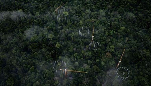 Experimento internacional investigar&aacute; impacto do aumento de CO₂ na Amaz&ocirc;nia