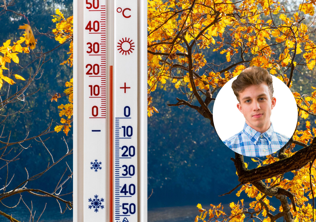 sonne, sommer, herbst