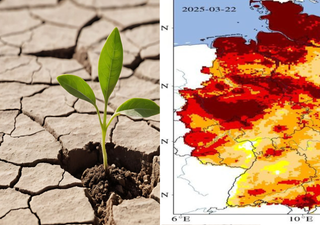 Experte bezeichnet aktuelle Entwicklung als 