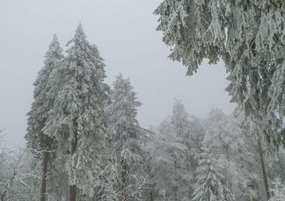 Experte erklärt: Erster Schnee Ende Oktober? ECMWF-Modell sieht Kaltlufteinbruch mit Frost und Schneeflocken bis runter