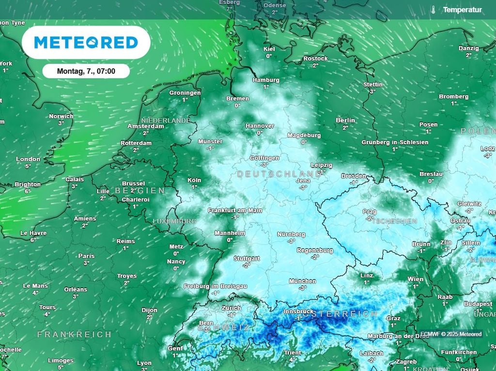 frost, montag, wetter, schaden