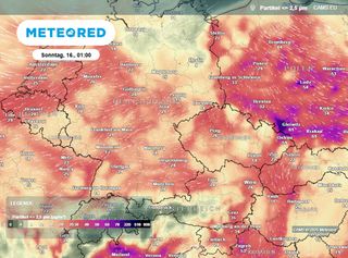 Experte Habermehl warnt: Nächste Woche erreicht die Feinstaub-Apokalypse ihren Höhepunkt – warum wir alle betroffen sind