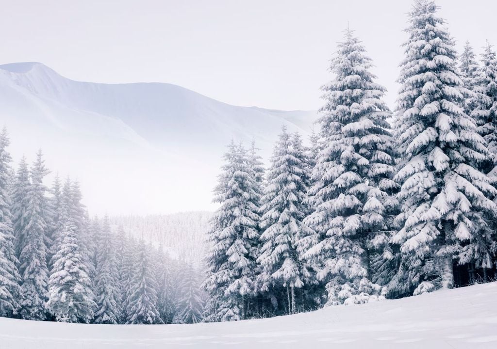 winter, wetter, deutschland winter, wetter, deutschland