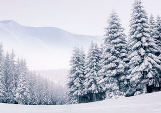 Experte Habermehl warnt: So erschütternd verändert sich der Winter in Deutschland – und niemand will es wahrhaben