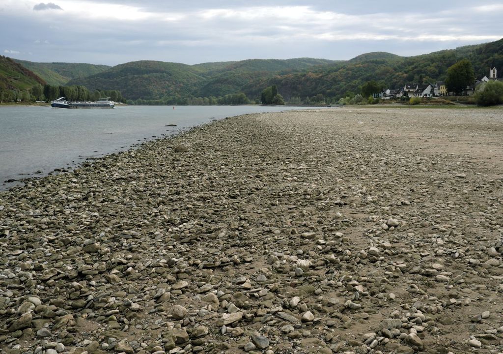 niedrigwasser, rhein, wetter niedrigwasser, rhein, wetter