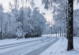 Experte verrät: Genau an diesem Tag fällt 2025 der erste Schnee in Deutschland