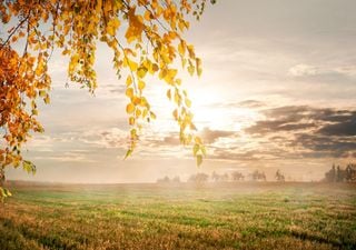 Experten erstaunt- "Sowas schon lange nicht mehr gehabt" Die Wettervorhersage für Deutschland diese Woche