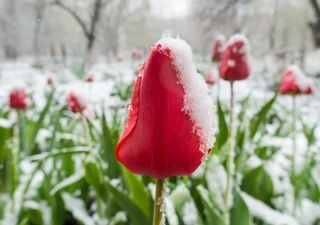 Experten warnen vor einem unerbittlichen Kälteeinbruch im März! Milder Februar ebnet den Weg für einen eisigen Frühling