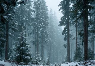 Experto en meteorología analiza pronóstico de lluvias, nieve y temperaturas para el final del año 2025 en México