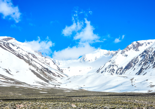 Expertos advierten que debilitar la Ley de Glaciares pondría en riesgo a la mitad de los vertebrados en Argentina