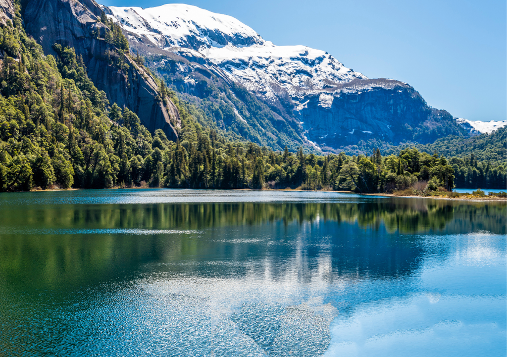 86% de los mamíferos que habitan en Argentina dependen de ecosistemas que se nutren de agua de los glaciares.