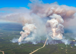 El CREAF explica la clave para prevenir incendios forestales más peligrosos: “restaurar el patrón natural del fuego"
