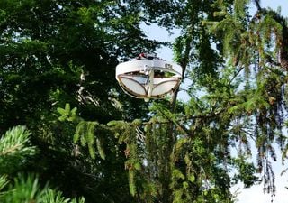 Explorando el bosque desde las alturas: el poder del ADN ambiental y los drones