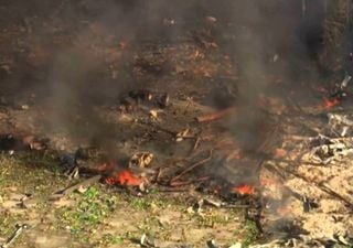 Explosión en Tennessee, Estado Unidos: reportan varias personas fallecidas y al menos 19 desaparecidas 