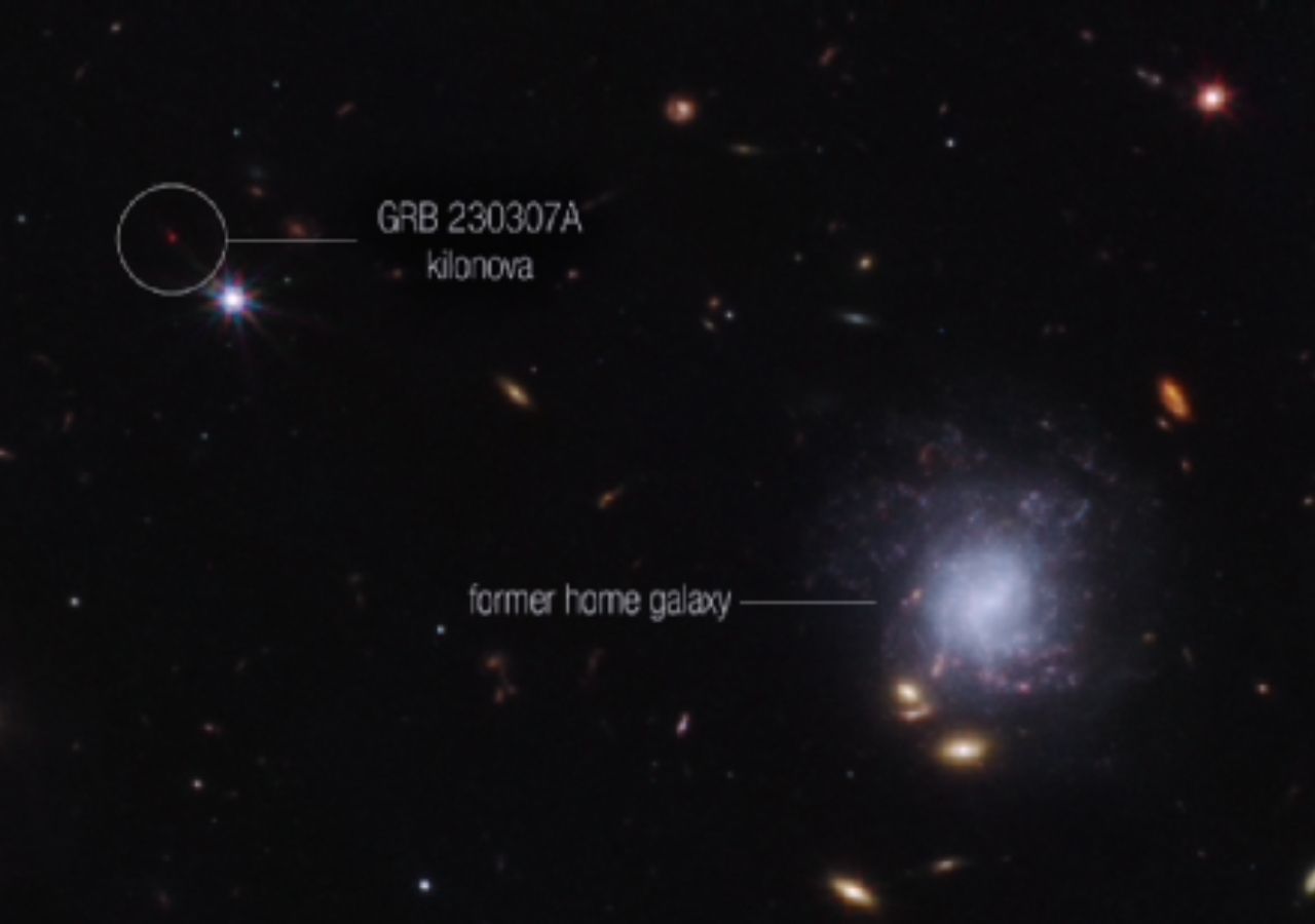 Los científicos utilizaron el telescopio espacial James Webb para observar un estallido de rayos gamma excepcionalmente brillante, GRB 230307A, y su kilonova asociada. Esta imagen del instrumento NIRCam de Webb destaca la kilonova de GRB 230307A y su antigua galaxia natal entre su entorno local de otras galaxias y estrellas en primer plano. Crédito: NASA, ESA, CSA, STScI, Andrew Levan (Universidad de Radboud, Universidad de Warwick)