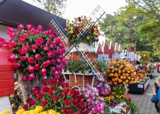 Expoflora 2025 em Holambra: confira atrações da maior exposição de flores da América Latina