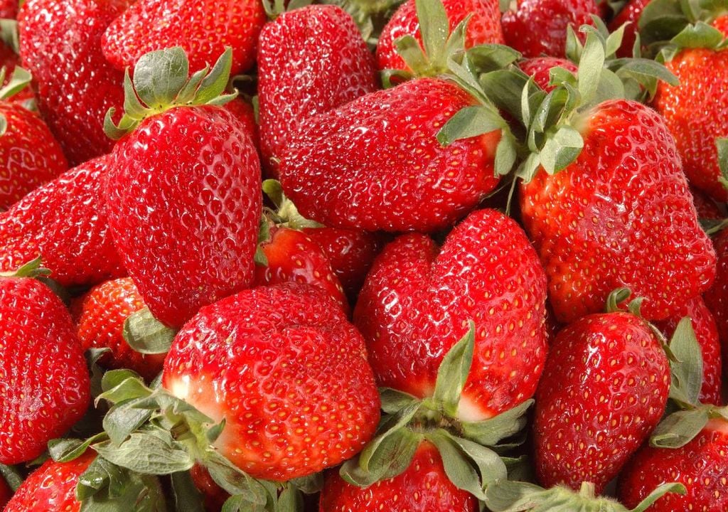 A Associação Portugal Fresh, que agrega 112 sócios que representam cerca de 5000 agricultores, anunciou nesta quinta-feira, 12 de fevereiro, que as exportações de frutas, legumes e flores cresceram 5% em 2025, para 2,6 mil milhões de euros.