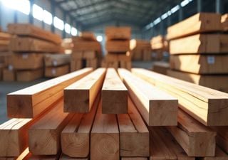 Exportações do setor florestal atingiram 6,4 mil milhões de euros em 2024. Segmento da madeira teve saldo negativo