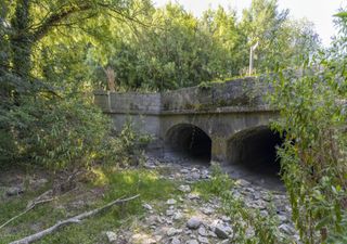 Severe drought: some of Europe's largest rivers are virtually dry