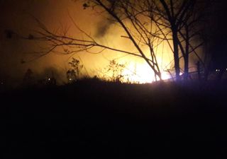 Controlan un severo incendio en el Parque Nacional Volcán Barú en Panamá