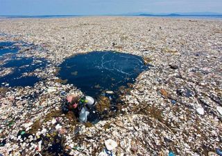 Exterminarán una isla para ayudar al planeta