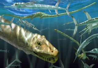 Los paleontólogos descubren un extraño 'dragón chino' de 240 millones de años