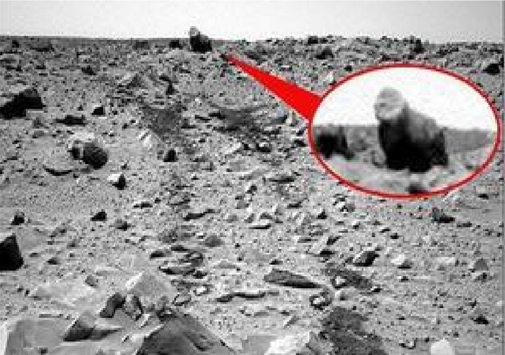 Gorilla Mars Chance Jebel NASA Rover