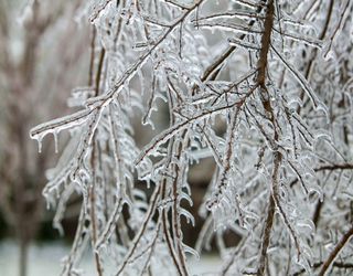 Extrem gefährlich! Wie kommt es zu Eisregen?