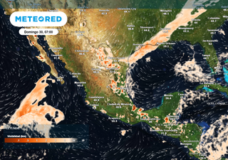 ¡Extrema precaución en vuelos, caminos y carreteras! Densas nieblas cubren diversas regiones en México