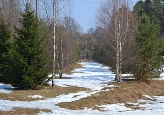 Extreme Dezemberwärme führt Winterexperten vor – Polarwirbel-Alarm und Rekordwinter-Prognosen entpuppen sich als Märchen