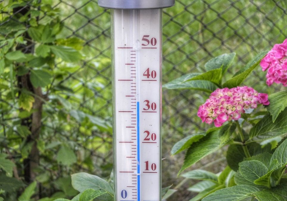 Extreme Mai-Hitzewelle rollt heran - bis 37 Grad im Schatten! Extreme Mai-Hitzewelle rollt heran - bis 37 Grad im Schatten!