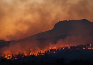 Extreme wildfires more likely because of climate change new report finds