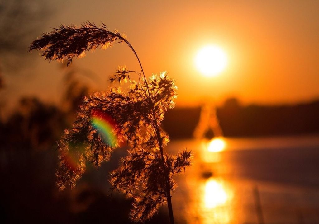 Extremtemperaturen in Europa wie die Rekordwerte von 2023 oder 2019 sind nicht länger Ausnahmen, sondern werden zur neuen Normalität gehören.
