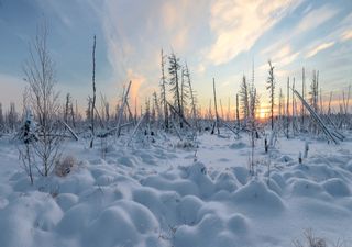 Extremkälte im Osten - Zittern bei minus 54°C!